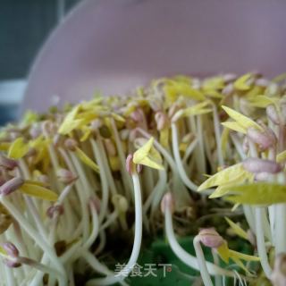 海参香覃拌绿豆芽的做法步骤：1