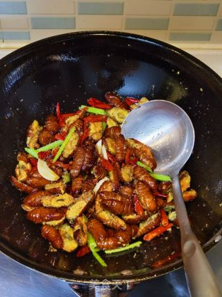 干煸蚕蛹的做法步骤：5