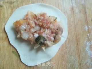 大肉白菜鸡腿菇饺子的做法步骤：7