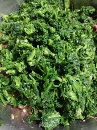 荠菜猪肉饺子的做法步骤：7