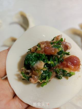 荠菜猪肉饺子的做法步骤：8