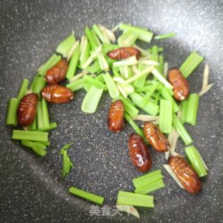 芹菜炒蚕蛹的做法步骤：6