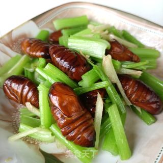芹菜炒蚕蛹的做法步骤：7
