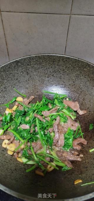 香菜炒牛肉的做法步骤：8