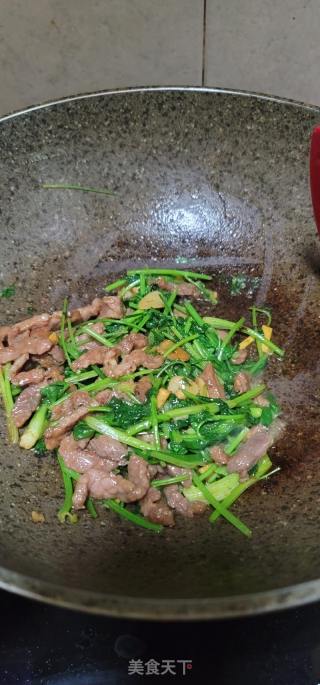 香菜炒牛肉的做法步骤：10