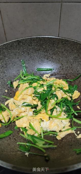 香菜炒鸡蛋的做法步骤：10