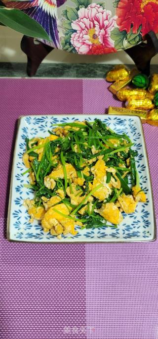 香菜炒鸡蛋的做法步骤：11