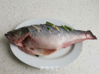 清蒸鲈鱼的做法步骤：4