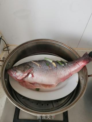 清蒸鲈鱼的做法步骤：5