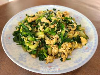 香葱鸡蛋炒紫茄的做法步骤：7