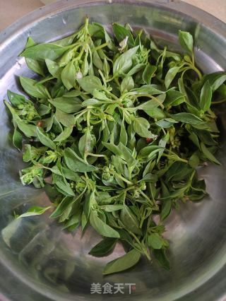 荆芥炒小南瓜的做法步骤：3