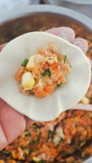 猪肉胡萝卜玉米饺子的做法步骤：11