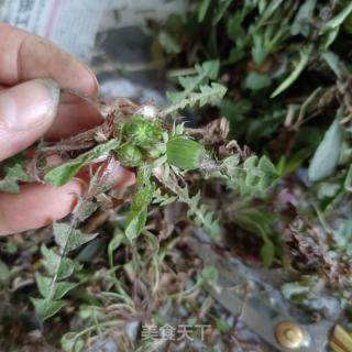 苦碟子小豆沫的做法步骤：2