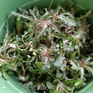 苦碟子小豆沫的做法步骤：5