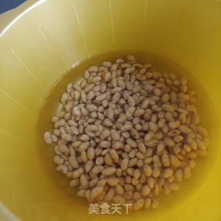苦碟子小豆沫的做法步骤：7