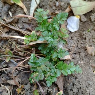 龙骨海参炖山药的做法步骤：11