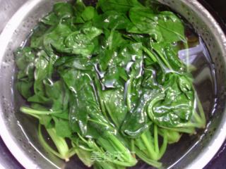 瘦肉丝茭白炒菠菜的做法步骤：4