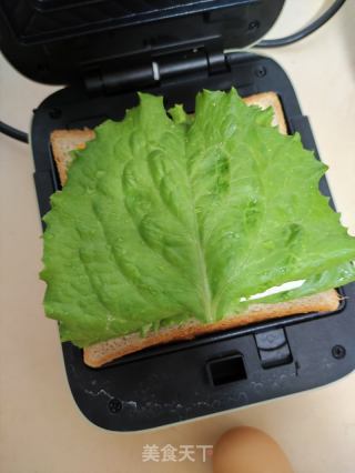 简易三文治的做法步骤：5