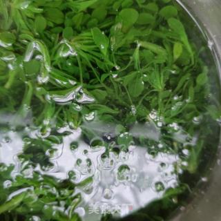 花生拌鸡肠草的做法步骤：4