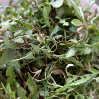 梅花肉花生碎炒苦菜的做法步骤：1
