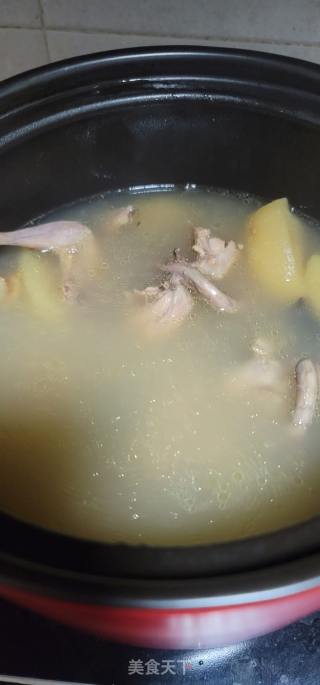 鸽子瘦肉煲黑灵芝苹果汤的做法步骤：5