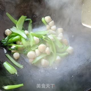 油菜炒鲜贝的做法步骤：6