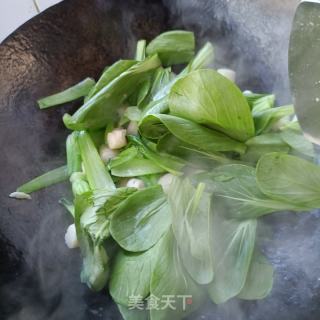 油菜炒鲜贝的做法步骤：7