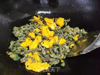 鸡蛋炒蒸枸蒲穗的做法步骤：4