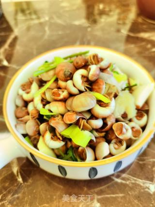 水煮小香螺的做法步骤：4