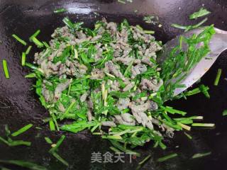 韭菜炒蒸枸蒲穗的做法步骤：4