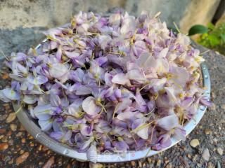 紫藤花蒸饭的做法步骤：5