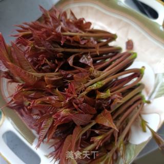 对虾炒香椿的做法步骤：2