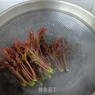对虾炒香椿的做法步骤：6