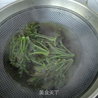 对虾炒香椿的做法步骤：7