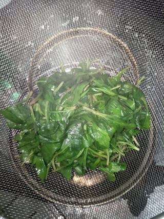 凉拌马兰头的做法步骤：4