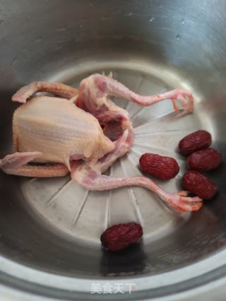 马兰头鸽子汤的做法步骤：2