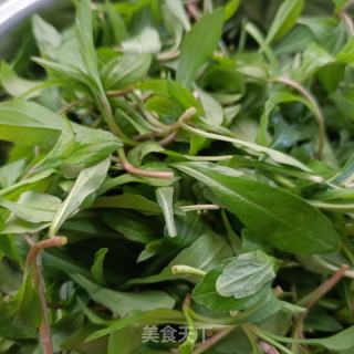 马兰头鸽子汤的做法步骤：5