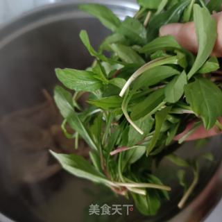 马兰头鸽子汤的做法步骤：6