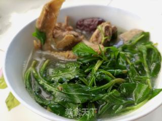 马兰头鸽子汤的做法步骤：8