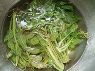 香椿芽拌豆腐的做法步骤：3