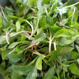 虾仁炒马兰头的做法步骤：5