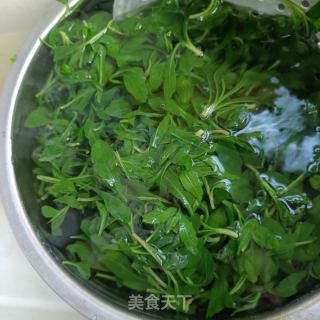 胡萝卜肉糜炒马兰头的做法步骤：4