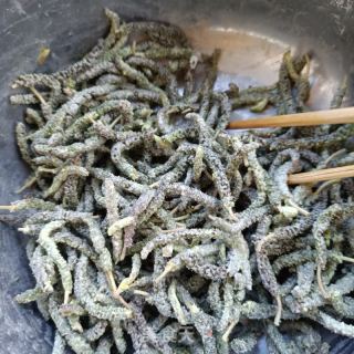 羊肉拌构树穗的做法步骤：6