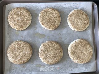 五香芝麻烧饼的做法步骤：8