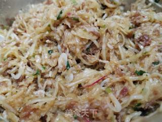 萝卜丝肉馅蒸饺的做法步骤：4