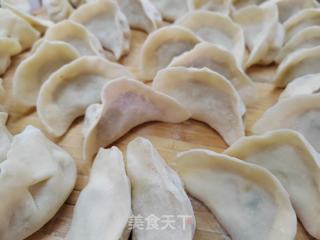 萝卜丝肉馅蒸饺的做法步骤：6