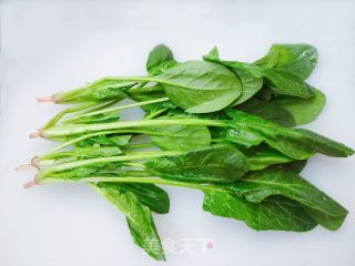 凉拌菠菜粉丝的做法步骤：2