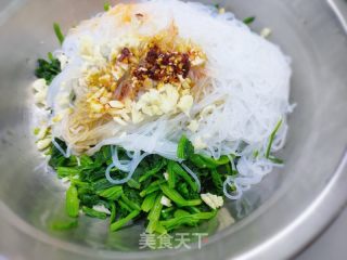 凉拌菠菜粉丝的做法步骤：5