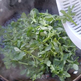 羊肉拌苜蓿的做法步骤：2