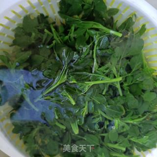羊肉拌苜蓿的做法步骤：4